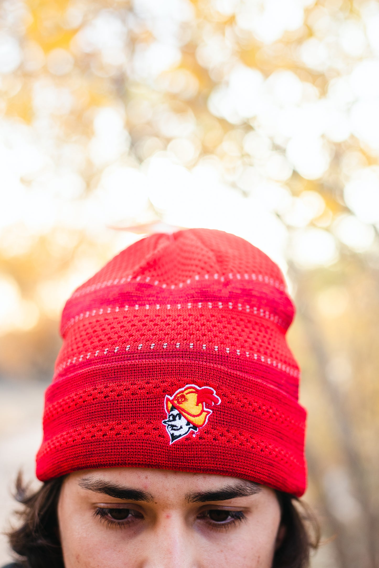 Albuquerque Dukes Red Pattern New Era Beanie
