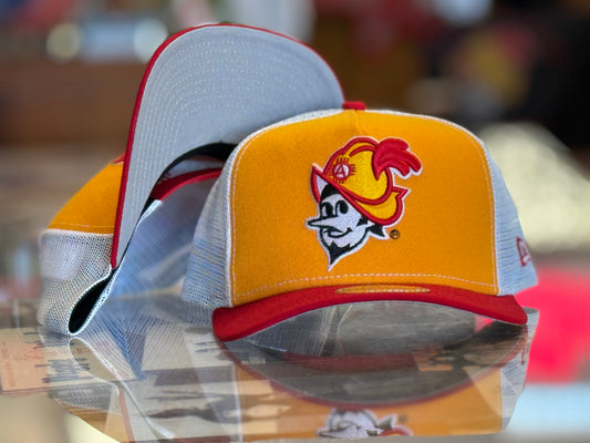 Albuquerque Dukes New Era Curved bill SnapBack Gold with Mesh back