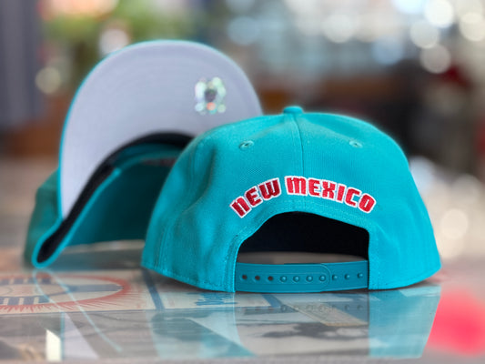 UNM 950 Snapback Turquoise 1990s Lobos